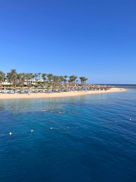 Shellghada Hotel and Beach1